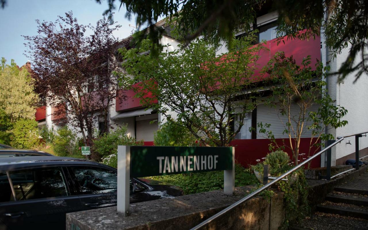 Gaestehaus Tannenhof Bad Bergzabern Kültér fotó